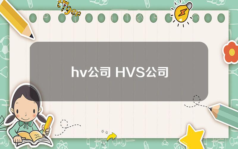 hv公司 HVS公司